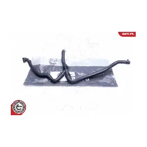 24SKV259 ESEN SKV