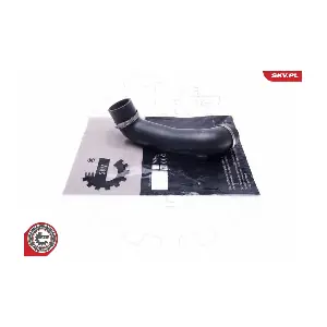 54SKV089 ESEN SKV