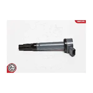 ESEN SKV 03SKV197