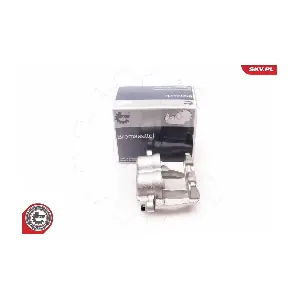 23SKV901 ESEN SKV
