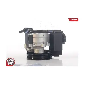 ESEN SKV 10SKV171