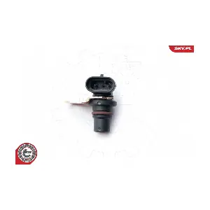 17SKV248 ESEN SKV