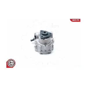 10SKV221 ESEN SKV