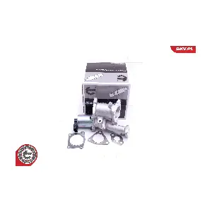 14SKV166 ESEN SKV