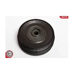 95SKV303 ESEN SKV
