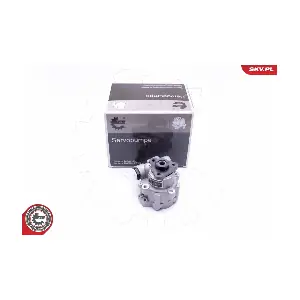 10SKV249 ESEN SKV