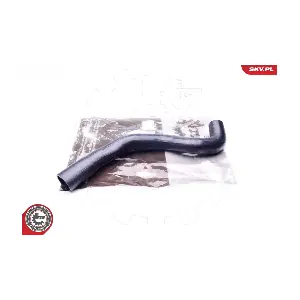 43SKV069 ESEN SKV