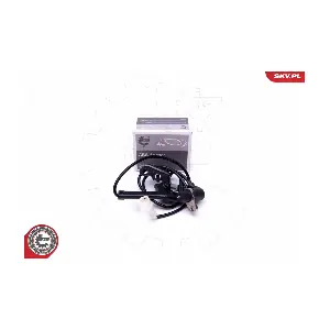 06SKV393 ESEN SKV