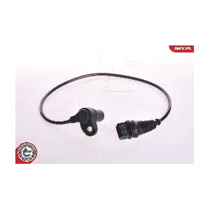 17SKV231 ESEN SKV