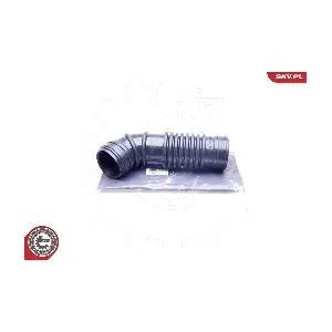 24SKV491 ESEN SKV