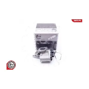 14SKV168 ESEN SKV