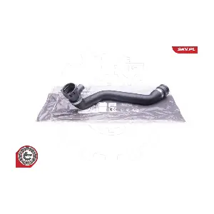 24SKV239 ESEN SKV