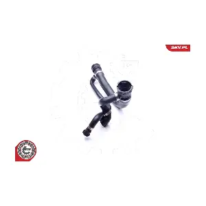43SKV701 ESEN SKV