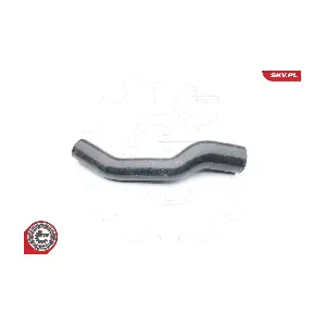 24SKV021 ESEN SKV