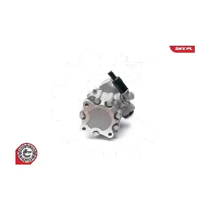 10SKV224 ESEN SKV