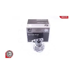 10SKV252 ESEN SKV