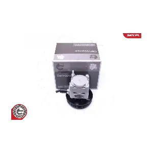 10SKV257 ESEN SKV