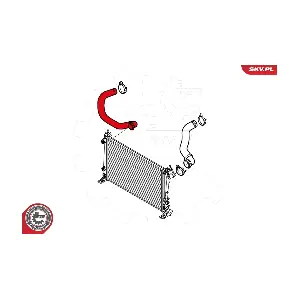 24SKV226 ESEN SKV