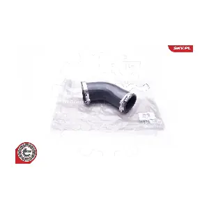 24SKV701 ESEN SKV