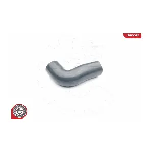 24SKV117 ESEN SKV