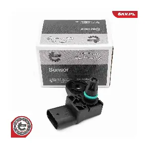 17SKV881 ESEN SKV