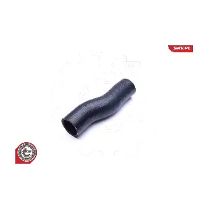 24SKV786 ESEN SKV