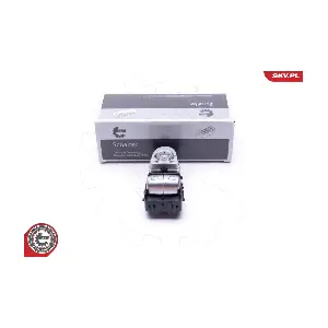 37SKV168 ESEN SKV