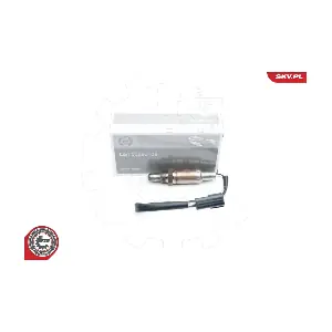 09SKV565 ESEN SKV