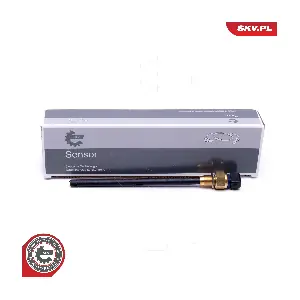 17SKV743 ESEN SKV