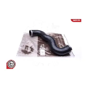 43SKV030 ESEN SKV
