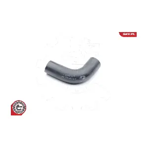 24SKV206 ESEN SKV