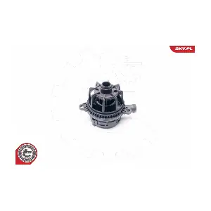 31SKV017 ESEN SKV