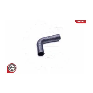 43SKV038 ESEN SKV