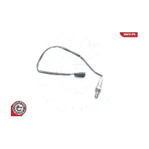 09SKV594 ESEN SKV