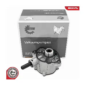 18SKV081 ESEN SKV