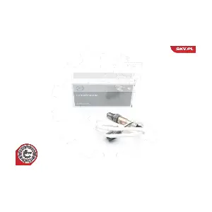 09SKV648 ESEN SKV