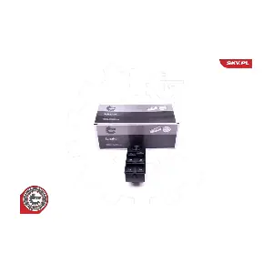 37SKV118 ESEN SKV