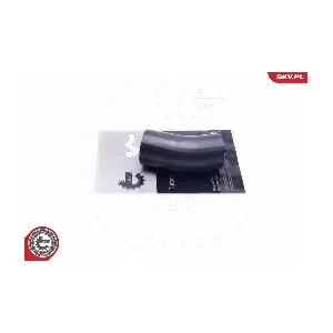 24SKV557 ESEN SKV