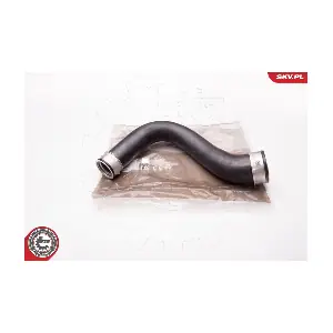 24SKV194 ESEN SKV