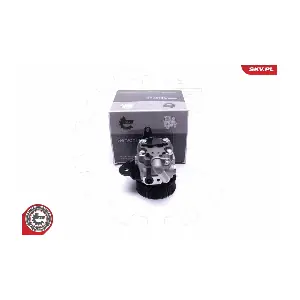 10SKV310 ESEN SKV