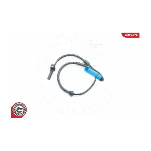 06SKV317 ESEN SKV