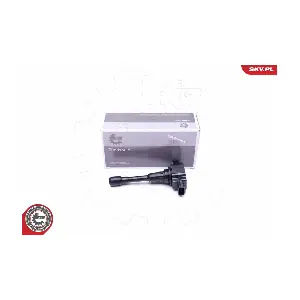 03SKV317 ESEN SKV