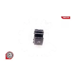 37SKV313 ESEN SKV
