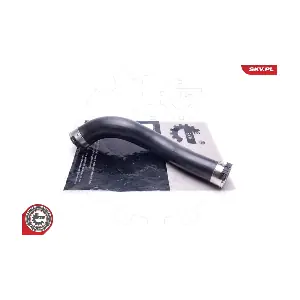 24SKV579 ESEN SKV