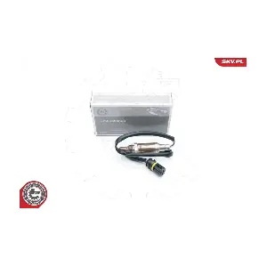 09SKV605 ESEN SKV
