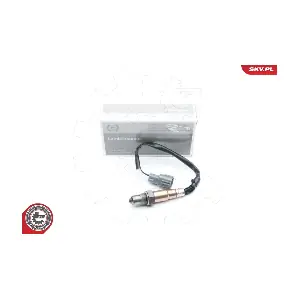 09SKV585 ESEN SKV