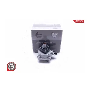 18SKV022 ESEN SKV