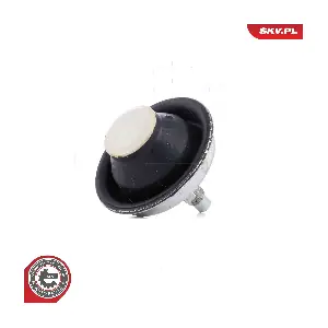 75SKV101 ESEN SKV