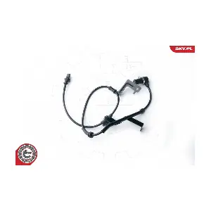 06SKV253 ESEN SKV