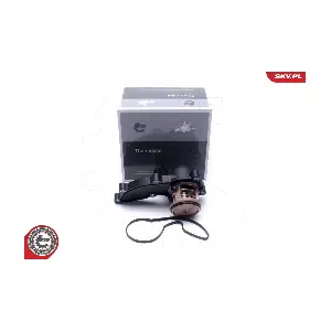 20SKV178 ESEN SKV